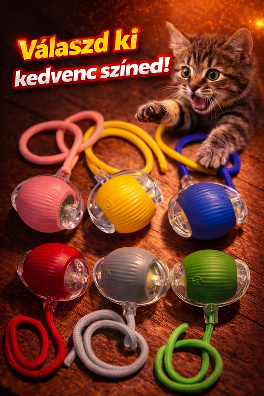 Interaktív Labda