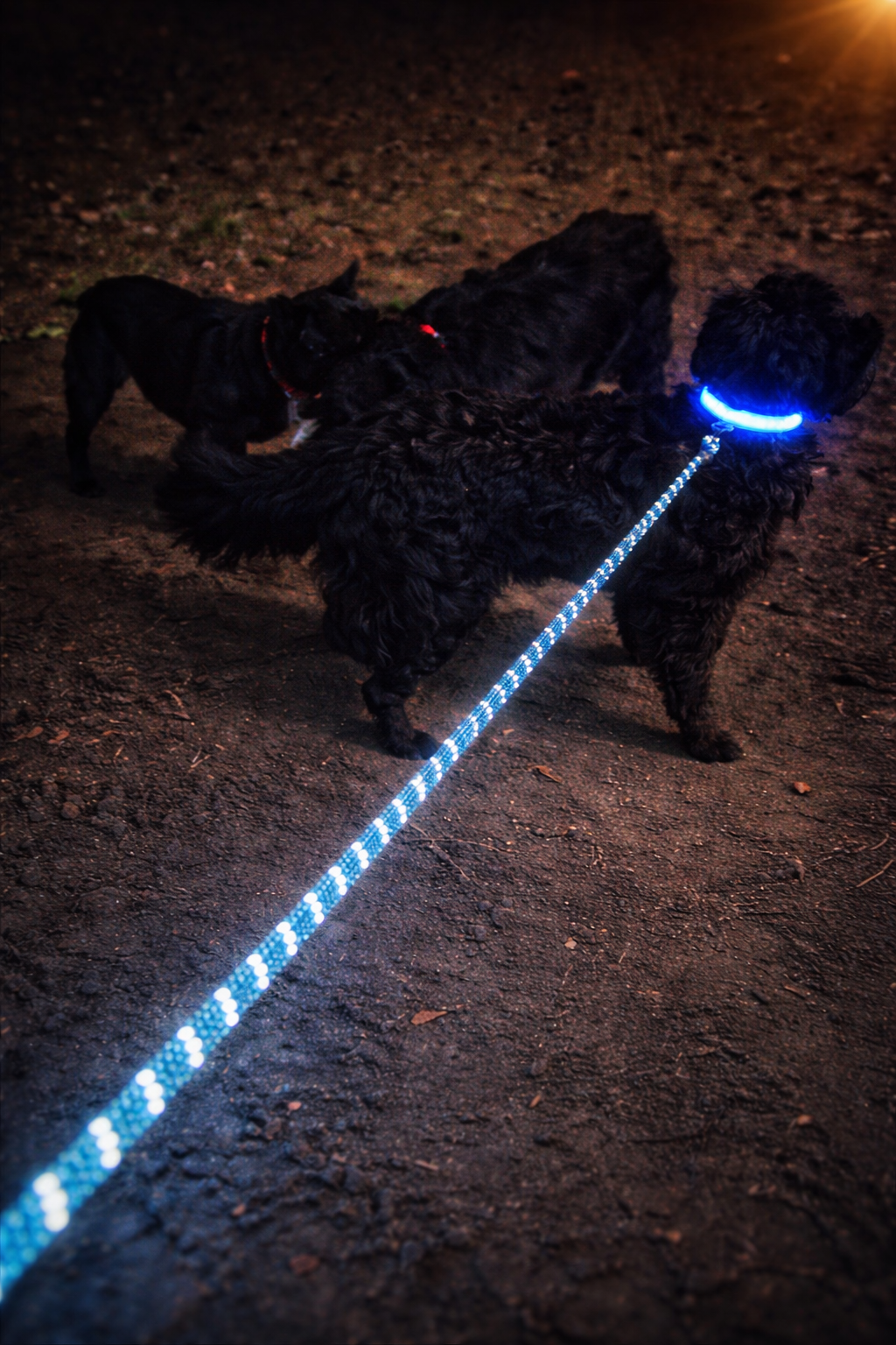 LED Nyakörv