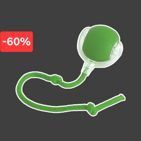 🎉Interaktív Labda