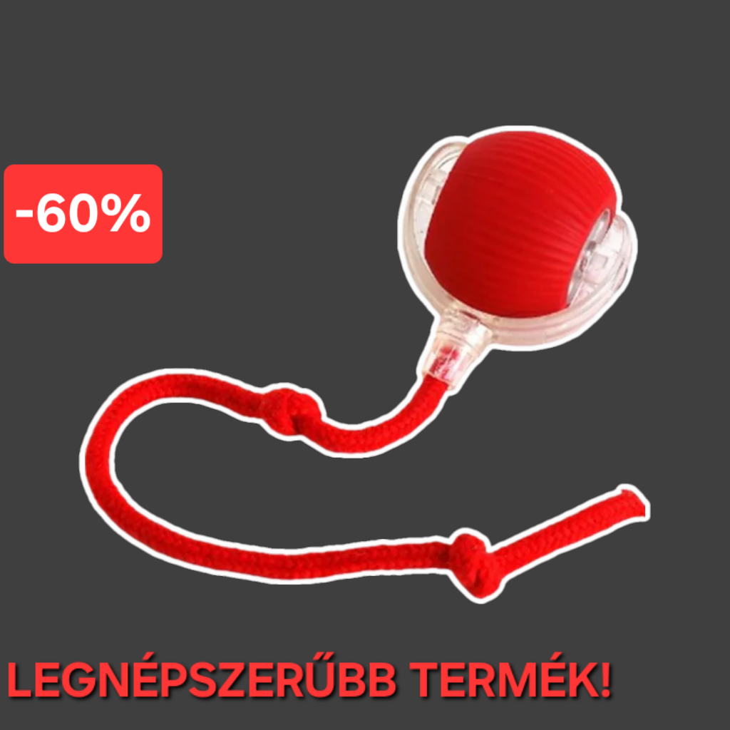 🎉Interaktív Labda